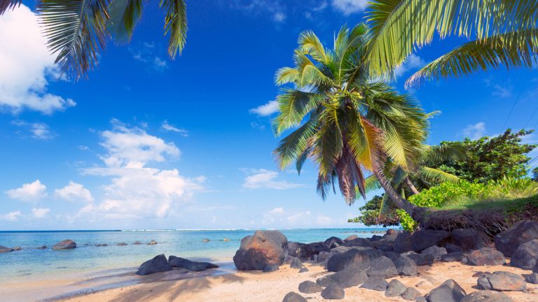 A beach in Hawaii