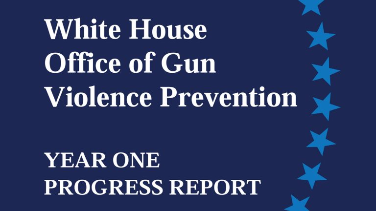 Cover page of the White House Office of Gun Violence Prevention's first progress report