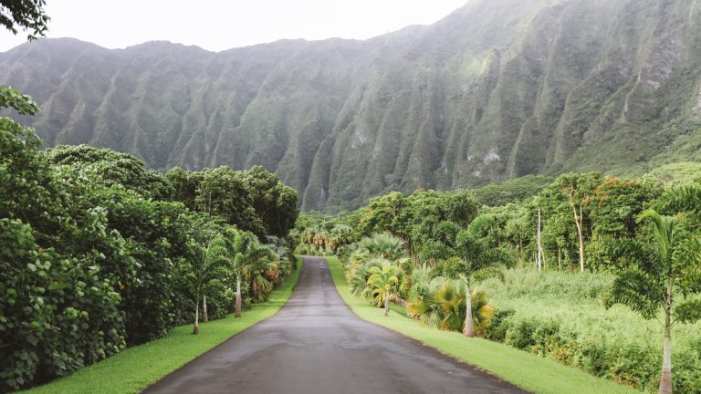 A scenic photo of Hawaii