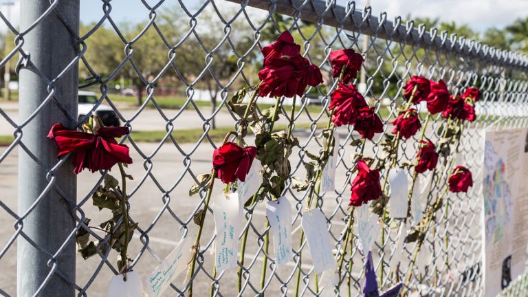 Roses on a fence