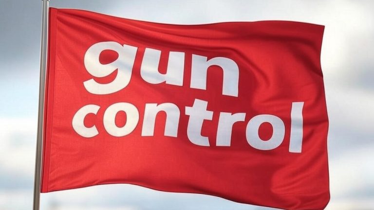 A red flag with the phrase 'gun control' written on it