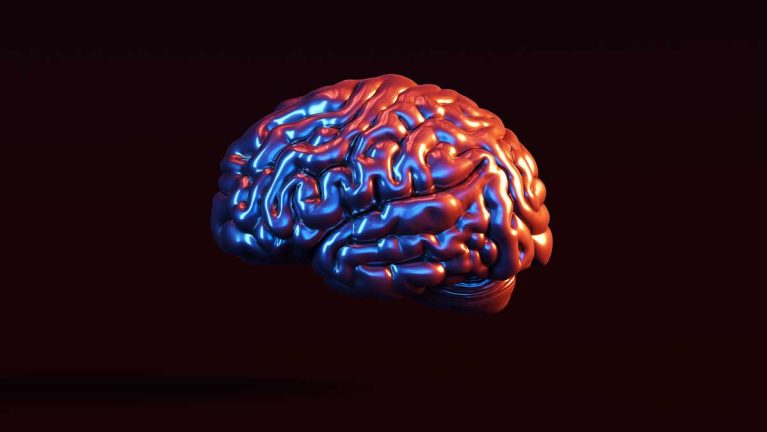 A generic image of a human brain.